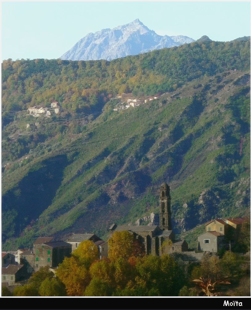 Moïta