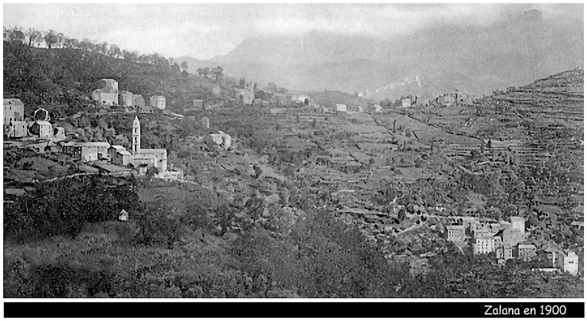 Zalana vers 1910