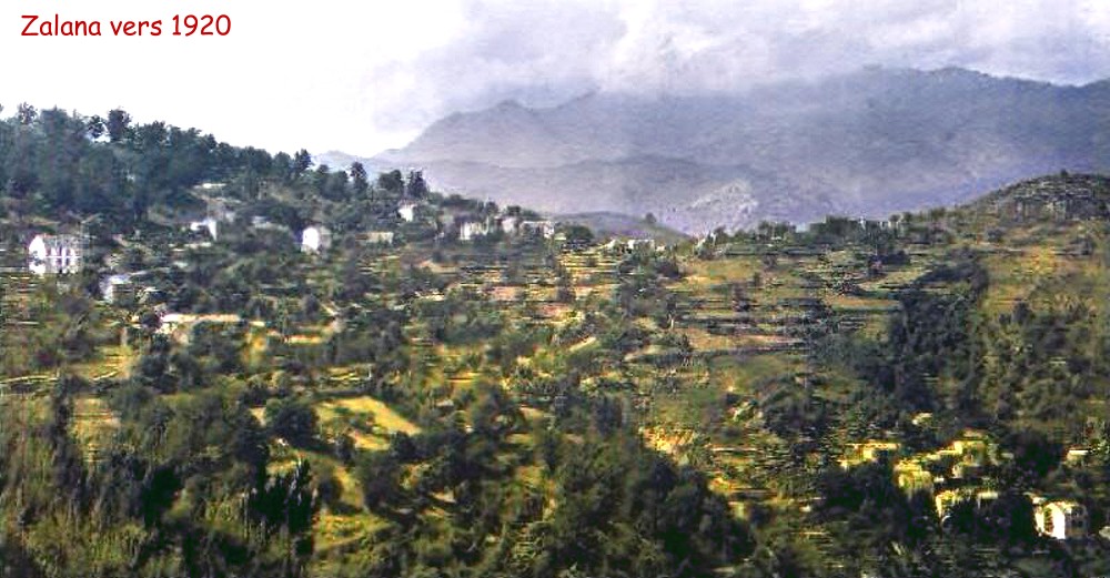 Zalana, vue générale